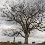 gettysburg-1472361_640